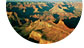 Sunblazer photo