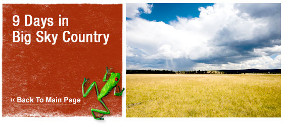 ATW Teen tours : 9 Days in Big Sky Country