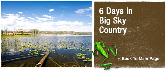 ATW Teen tours : 6 Days in Big Sky Country