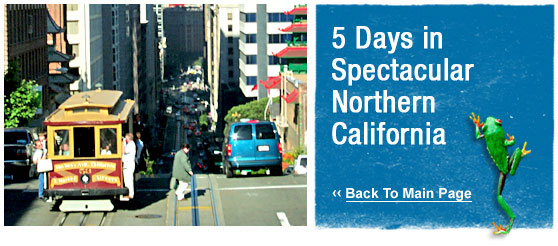 ATW Teen tours : 5 Days in northern California Splendor
