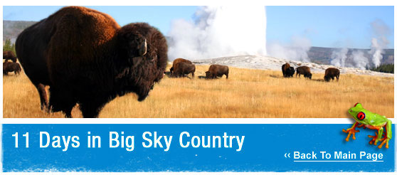 ATW Teen Tours: 10 Days in Big Sky Country