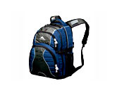 Swerve Backpack