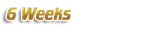 6 Weeks Mini Teen Tours