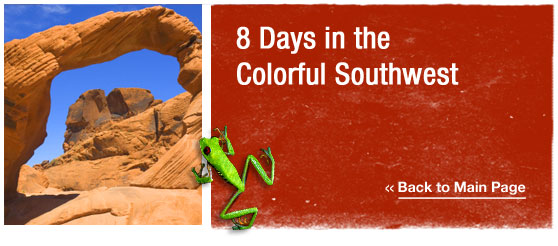 ATW Teen Tours : 9 Days in the colorful southwest
