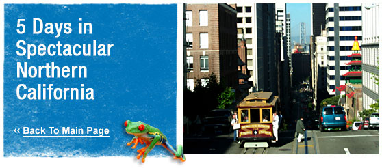 ATW Teen tours : 5 Days in Spectacular Northern California